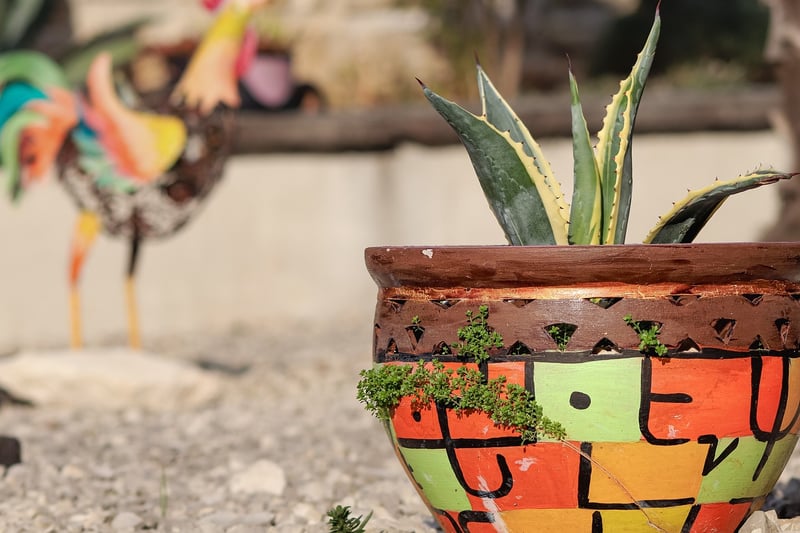 Whimsical Backyards